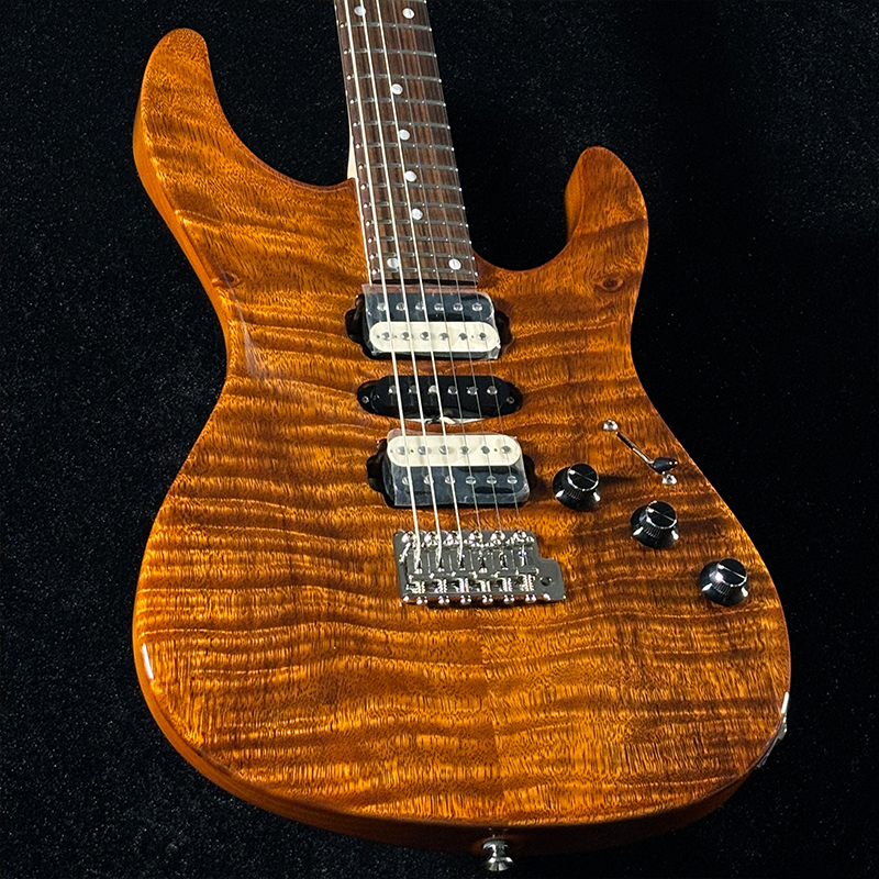 FREEDOM CUSTOM GUITAR RESEARCH OS EZa 24F FT HSH 晩秋