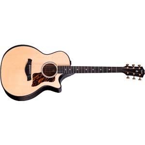 Taylor Builder’s Edition 314ce LTD