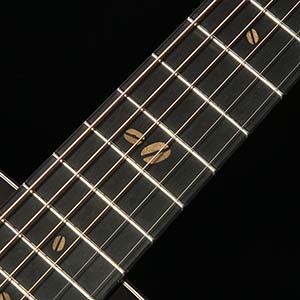 Headway Guitars HD-531 Coffee A,S/STD FBK（深煎りブラック）