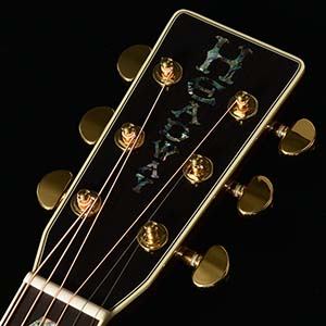 Headway Guitars HD-V150SE/45 NA