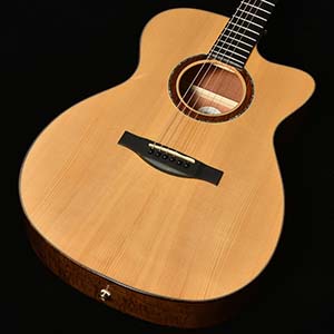 Headway Guitars HOC-NORTHBIRD