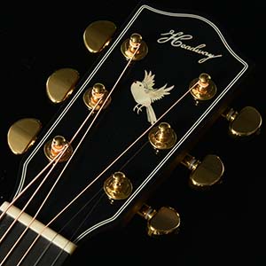 Headway Guitars HOC-NORTHBIRD