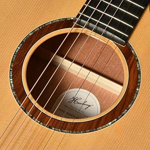 Headway Guitars HOC-NORTHBIRD