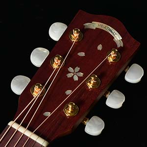 Headway Guitars HTJ-SAKURA