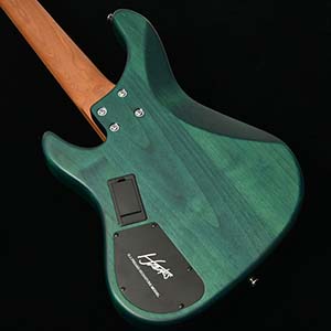 Bacchus Handmade Guitars WL524-H.J.FREAKS
