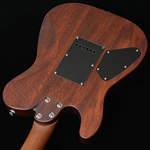 Bacchus Handmade Guitars TACTICS24-SPM RSM/M NAS