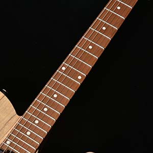 Bacchus Handmade Guitars TACTICS24-SPM RSM/M NAS