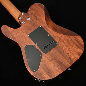 Bacchus Handmade Guitars TACTICS24-WN RSM/M