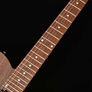 Bacchus Handmade Guitars TACTICS24-WN RSM/M