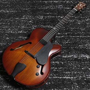 Landscape AR-101 (Antique Violin Color)