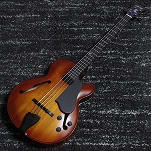 Landscape ARB-204 (Antique Violin Color)