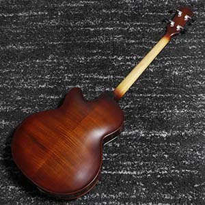 Landscape ARB-204/FL (Antique Violin Color)