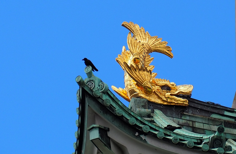 ギタラバ NAGOYA(名古屋)近郊写真