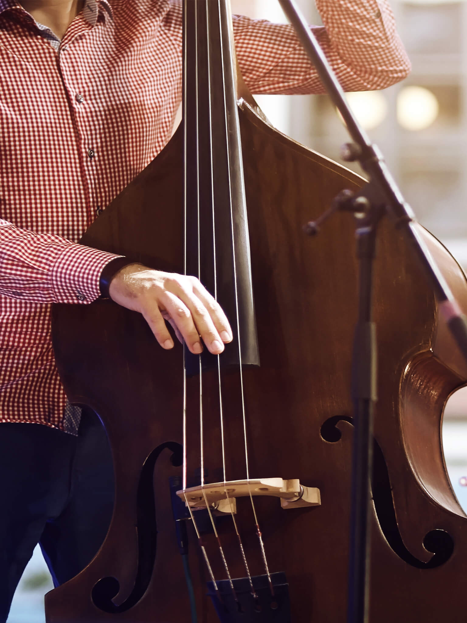 ウッドベースコース 島村楽器の音楽教室 ウッドベースコース 島村楽器の音楽教室