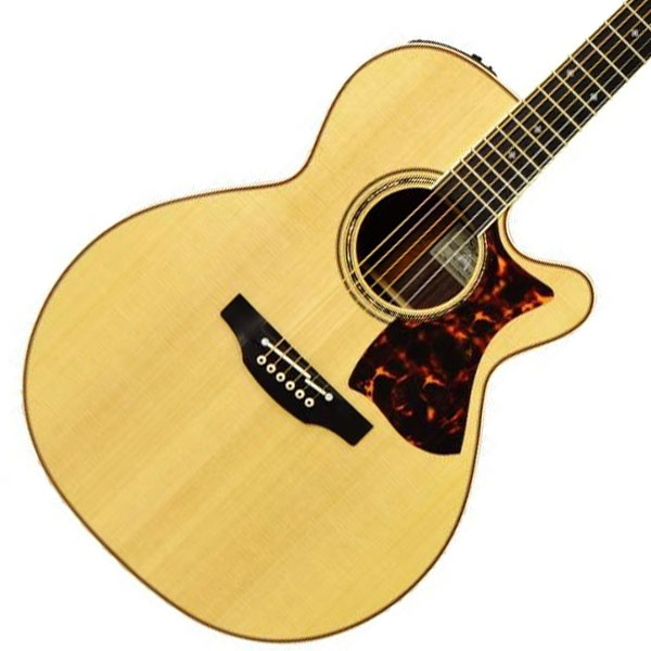 Takamine×島村楽器 DMP50S