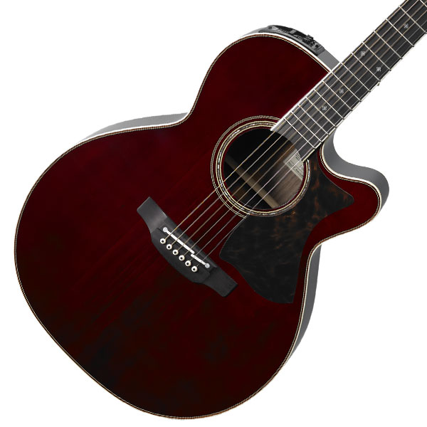 Takamine×島村楽器 DMP50S(WR)