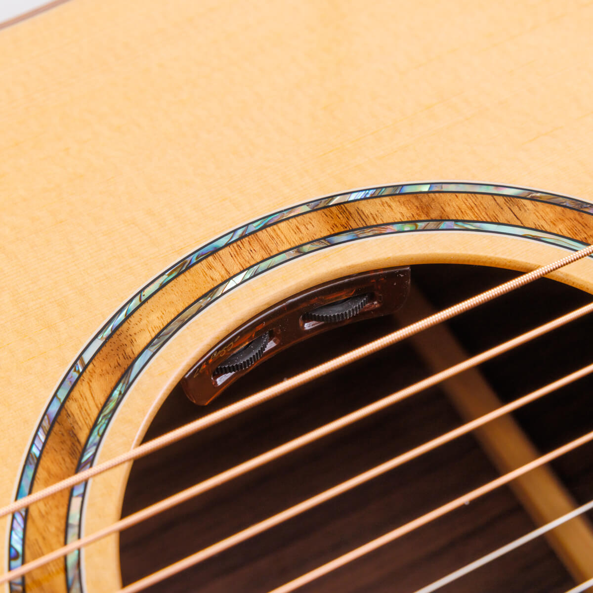 L.R.Baggs Element Bronze VTC 搭載