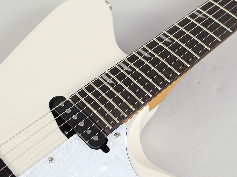 RYOGA SKATER/LE LRD - guitarshoptantan （ギターショップ