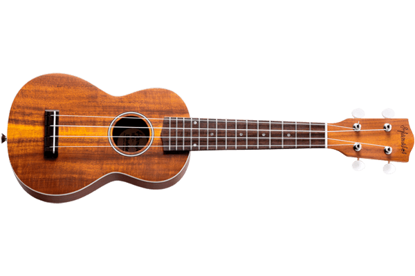 Hanalei HUK-300