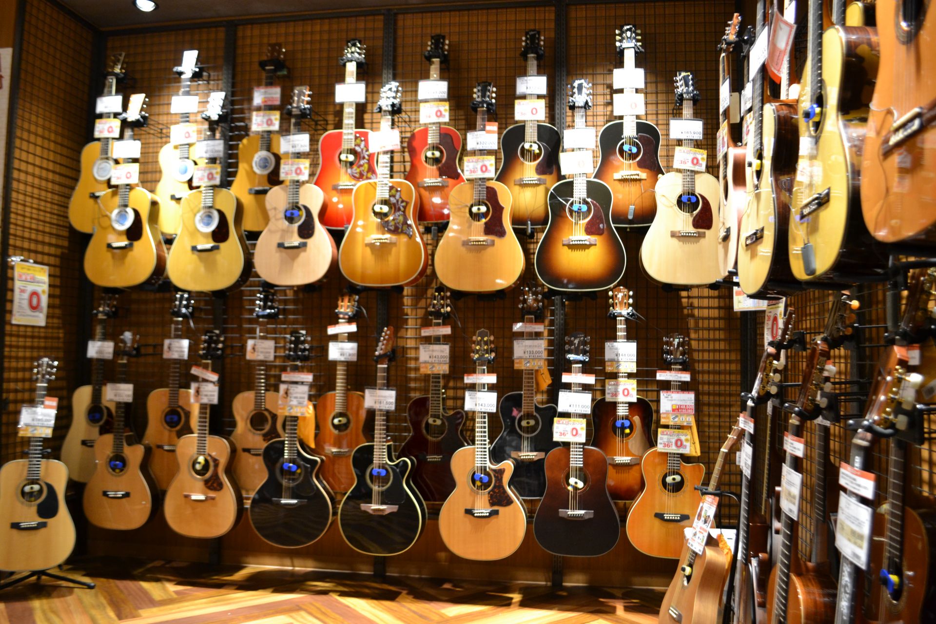 【軽音学部応援！】初めてのギター選びを当店スタッフが全力サポート！！【アコースティックギター初心者必見！】