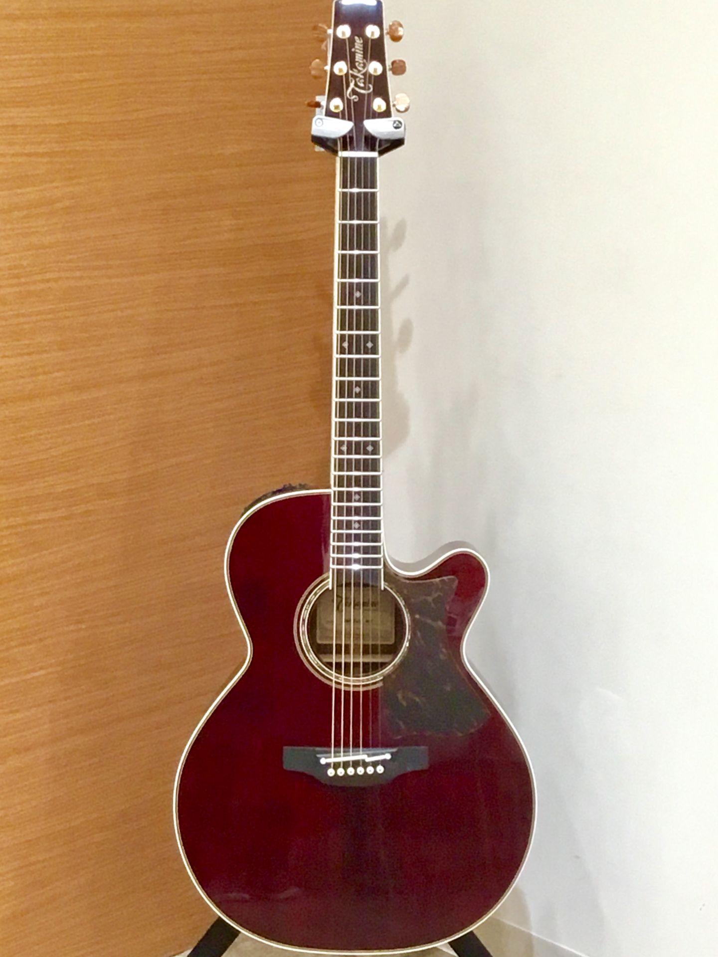Takamine（タカミネ） / DMP50S	入荷しました！