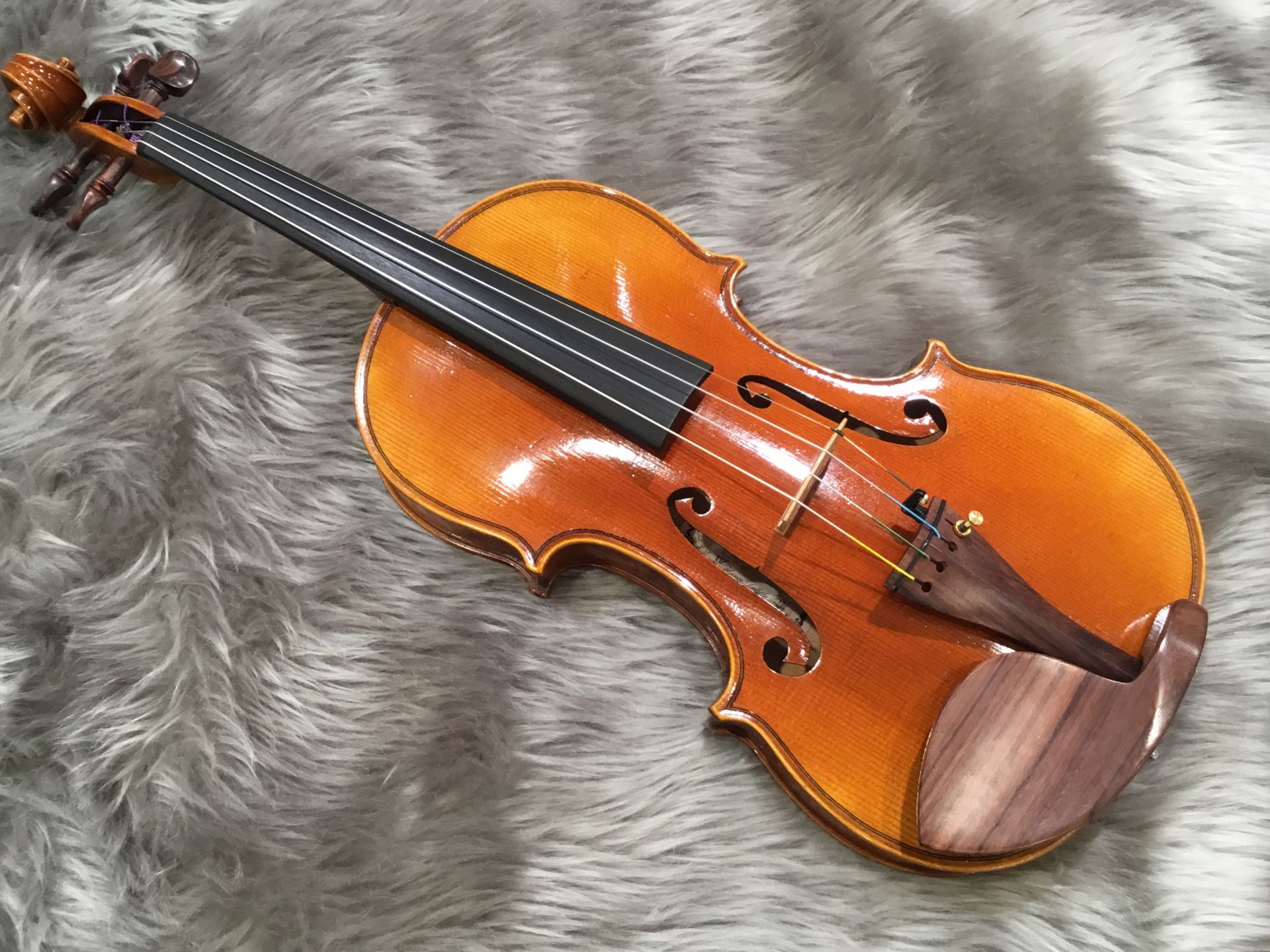 バイオリン表側