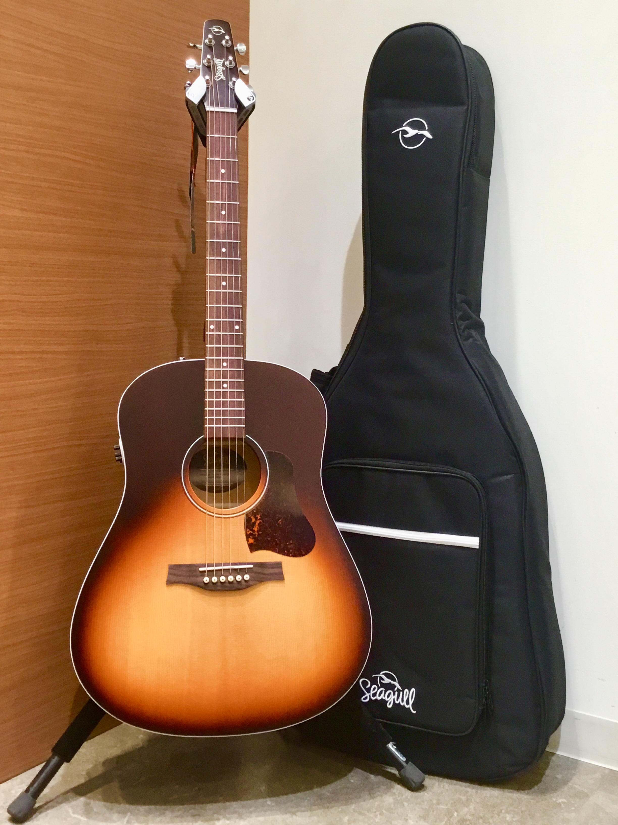 シーガル / ENTAUTUMN BURST Q1T 入荷しました！