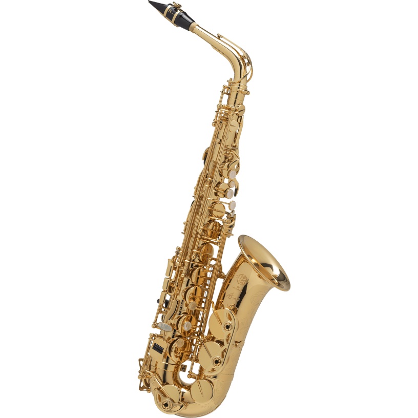 アルトサックスH.Selmer　Axos