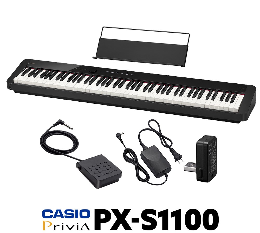 CASIOPX-S1100