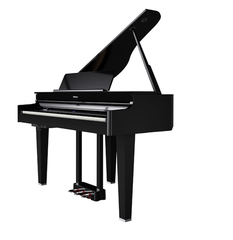 RolandGP-6