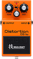 DS-1w