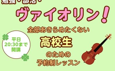 勉強・部活・ヴァイオリン！忙しい高校生のための予約制レッスン