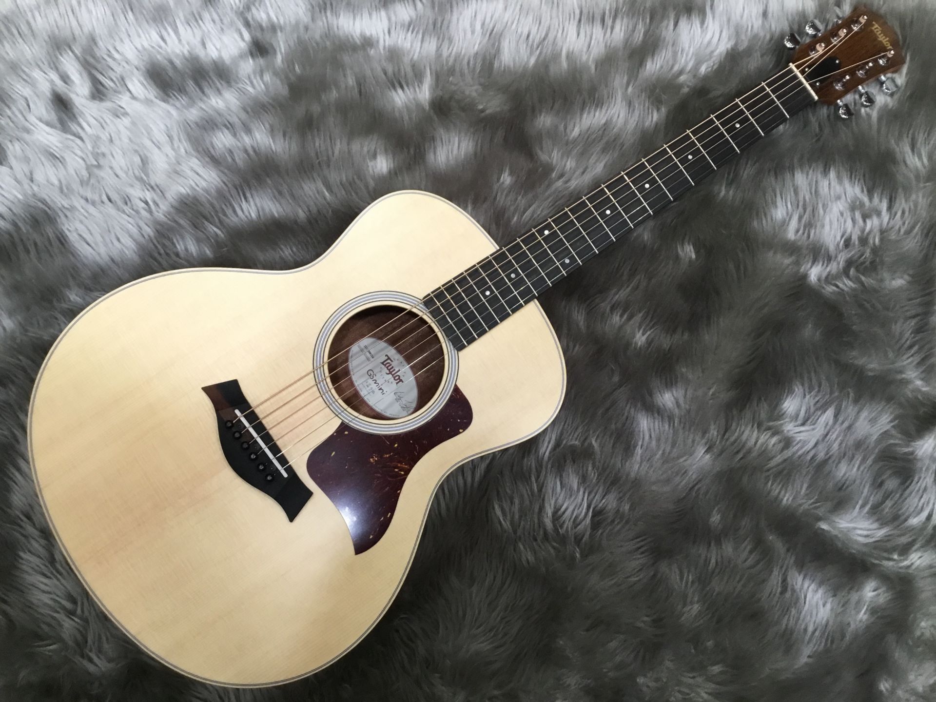 【新入荷情報】Taylor GS Mini-e Walnut入荷しました！