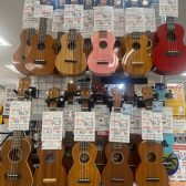 【ウクレレ総合ページ】イトーヨーカドー赤羽店では豊富なラインナップを展示しています！