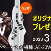 【エアロフォンAE-20W発売キャンペーン実施中！】