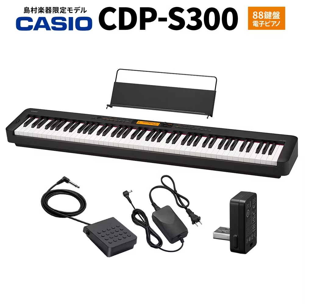 CASIOCDP-S300