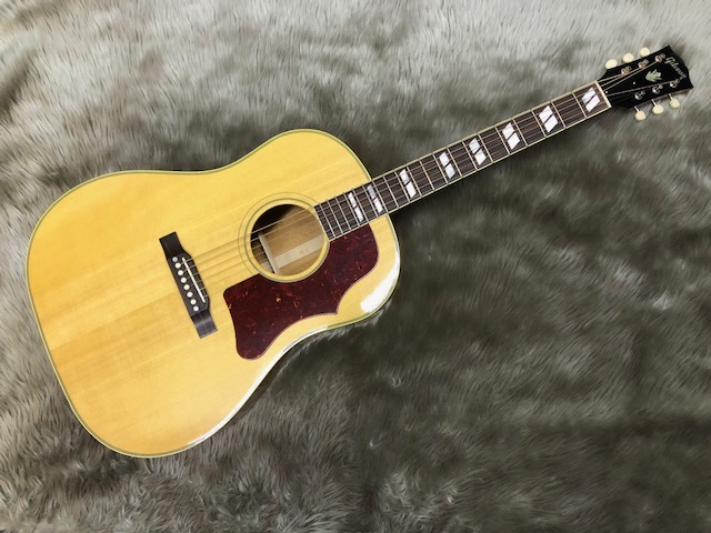 Gibson（ギブソン）　SOUTHERN JUMBO入荷しました！