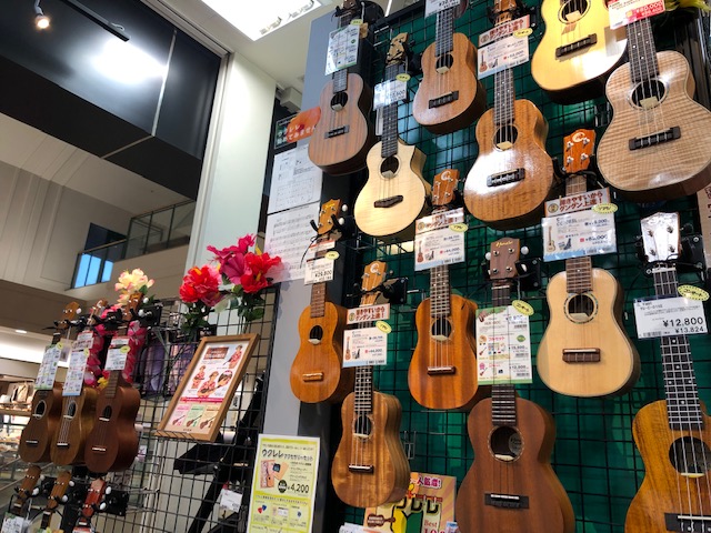 すぐ弾ける楽器！今日からウクレレを楽しもう！