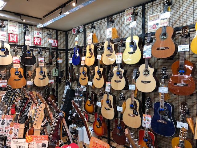 春にアコースティックギターを楽しもう！自分に合った1本を見つけよう！