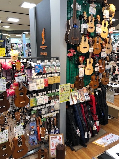 夏まで待てない！秋田店おすすめのウクレレです！