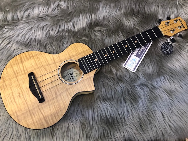 ピックアップ付きのウクレレ！Ibanez UEW12Eで楽しもう！