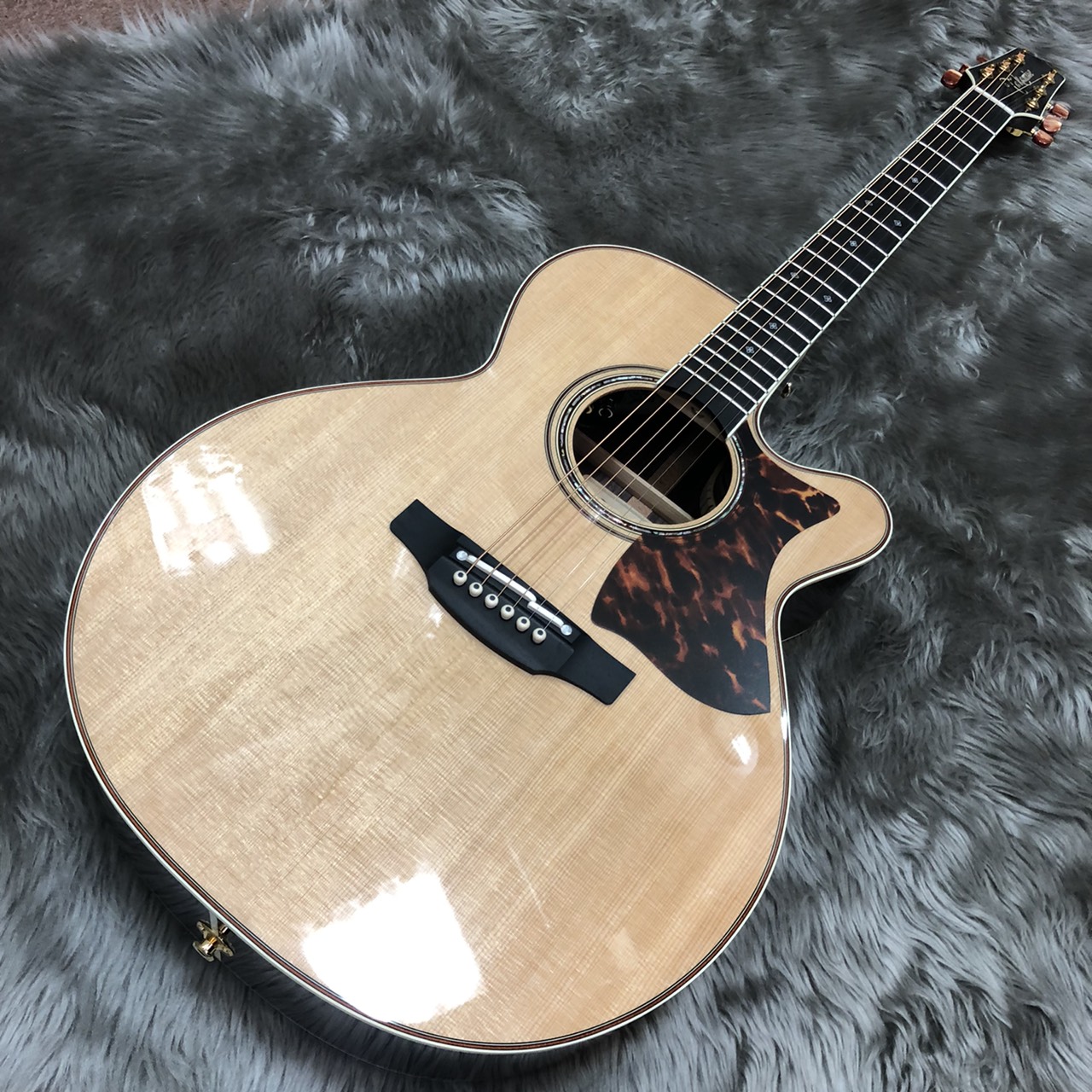 Takamine DMP50Sが入荷しました！