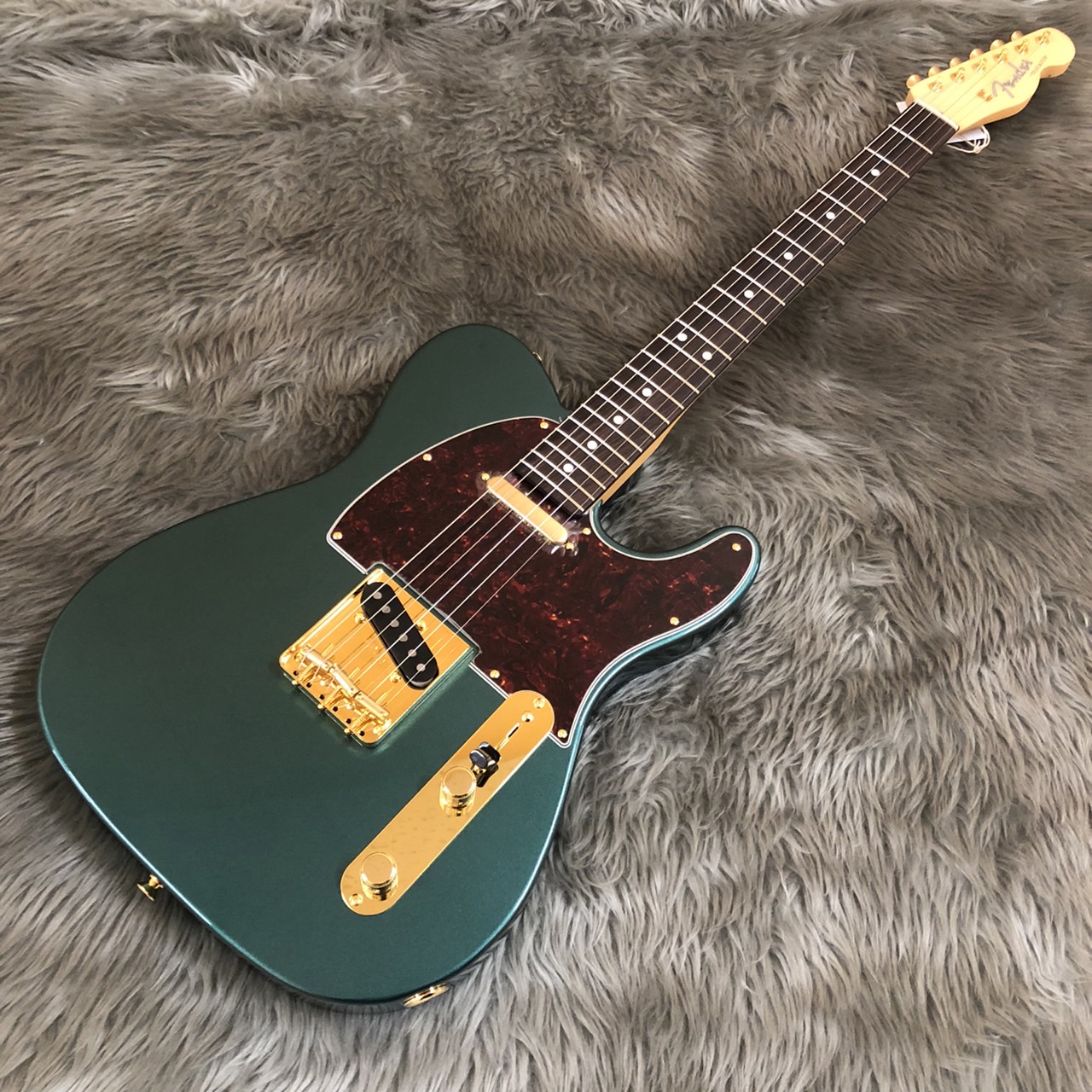 Fender /  Factory Special Runシリーズ入荷しました！