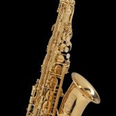 【アルトサックス】H.Selmer/Axos(彦坂眞一郎氏 選定品) ございます！