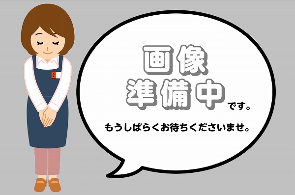 明鏡獅子田 無地
