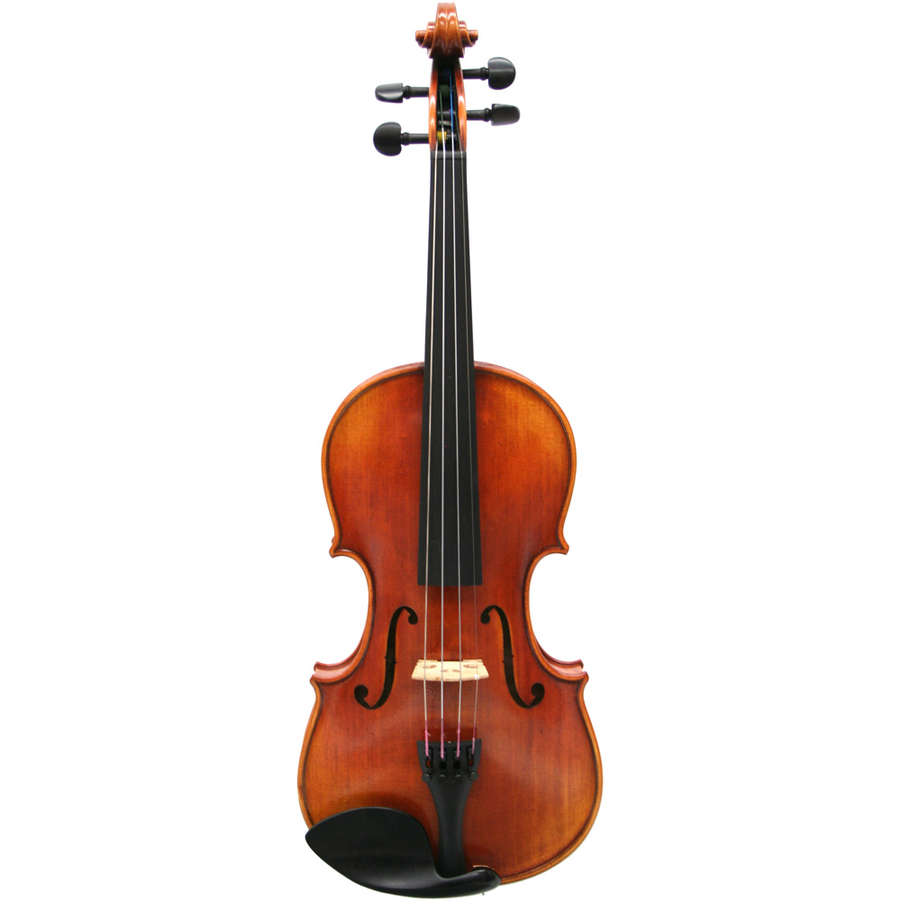 バイオリンNSN60S