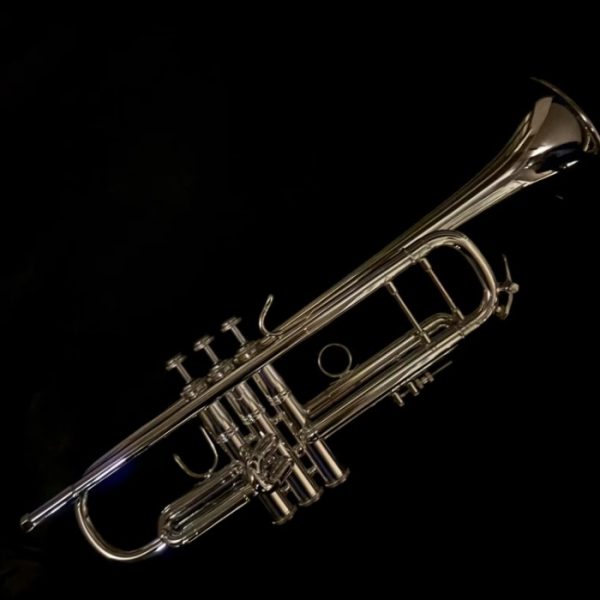 Bach/180ML/37/25/SP<br />
<br />
最大最良の響きを得られるワンピースベル（1枚取り工法ベル）と、伝統の高度な工法が生み出す、適度で心地よい反応・輝き・遠達性・抵抗感をもつ、バックのスタンダードモデル＝プロフェッショナル用トランペットの代名詞です。世界中で、プロフェッショナルプレーヤーから学生・初級者に至るまで幅広く、絶大な人気を有しているのが、モデル180・MLボア・37ベル・25マウスパイプ SP（銀メッキ仕上げ）になります。