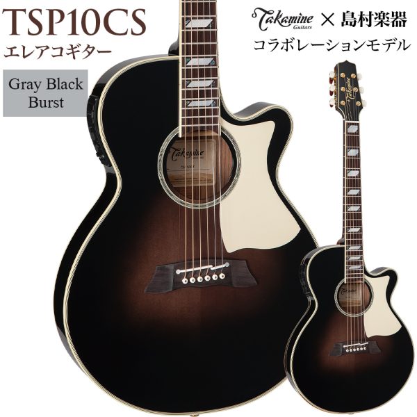 Takamine<br />
タカミネも多くのプロミュージシャンが愛用する日本を代表するブランドです。ステージでの使用を想定した高品質のエレアコが魅力。
