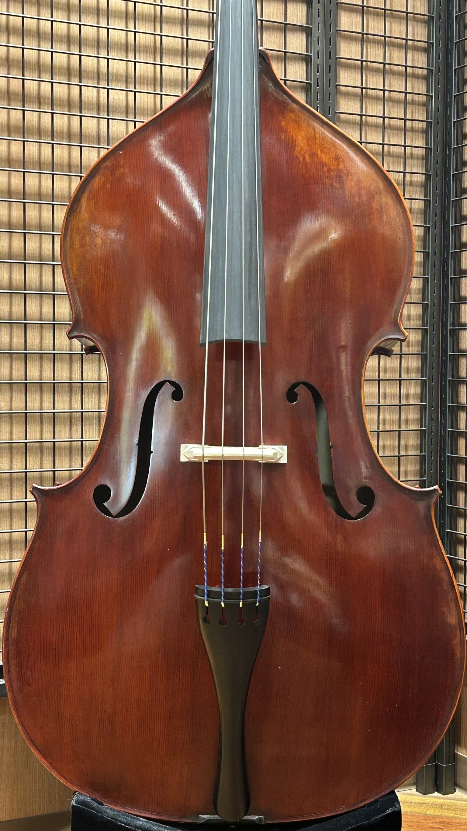 2025年4月7日入荷！Eastman イーストマン VB501 4弦