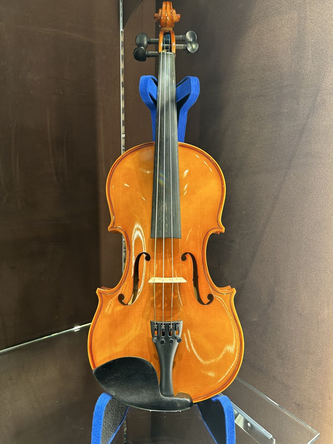 ヴァイオリン 4/4サイズ【展示品特価】Carlo giordano VS-1W 4/4 バイオリンセット